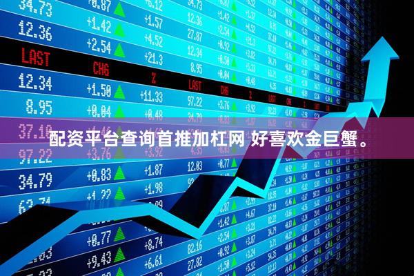 配资平台查询首推加杠网 好喜欢金巨蟹。
